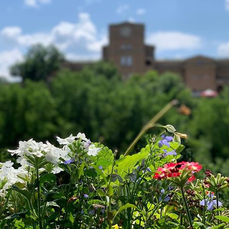Spring/Пролет Veliko Tarnovo Exterior foto