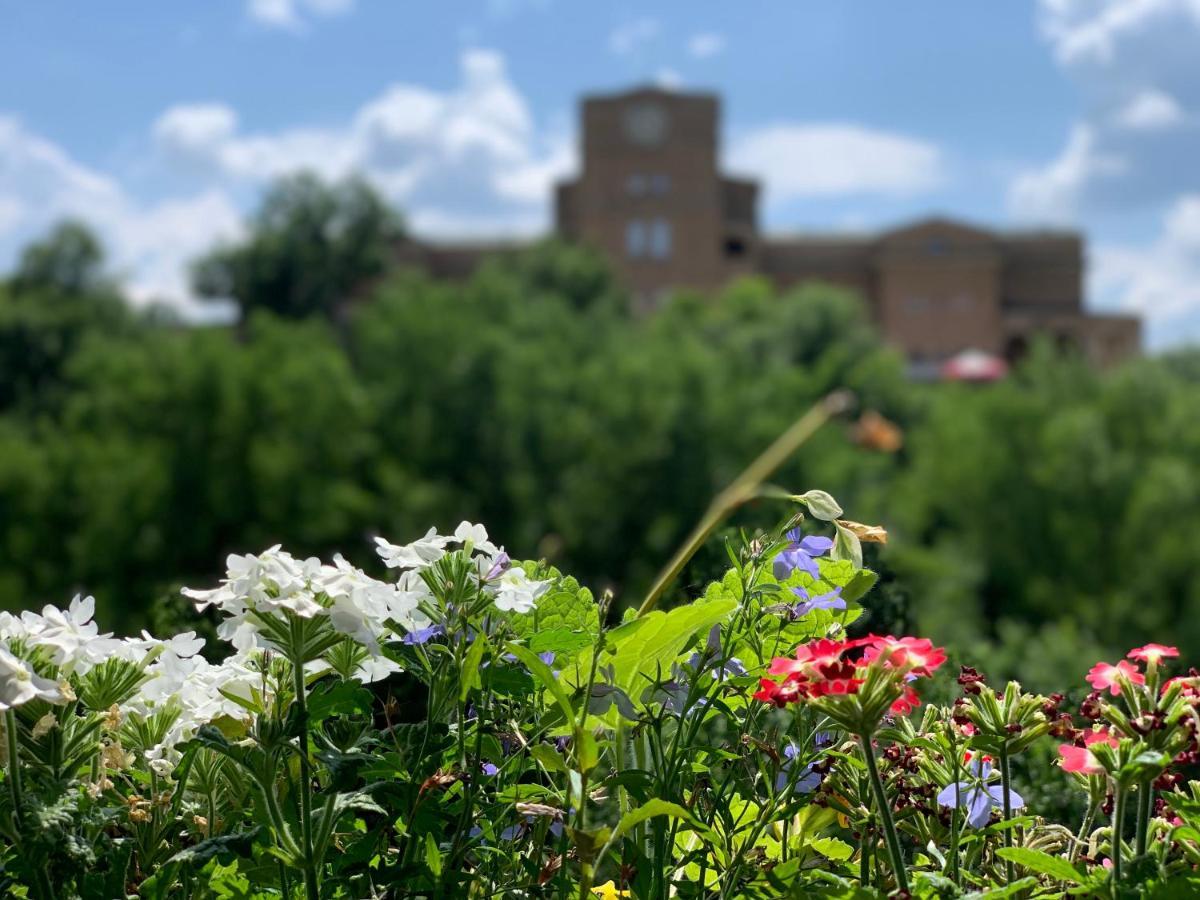 Spring/Пролет Veliko Tarnovo Exterior foto